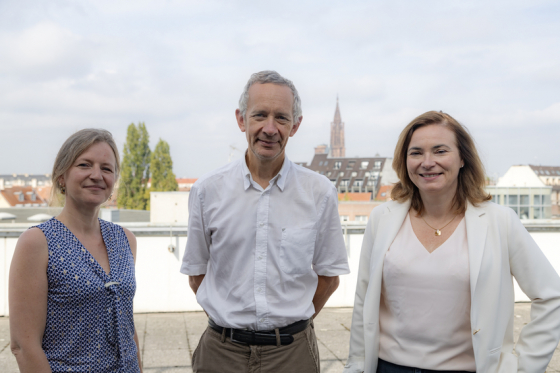 Troisième Schéma directeur du numérique : la maturité digitale