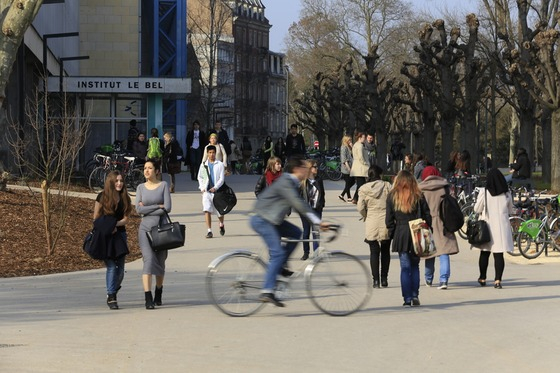 Quelles sont les personnes qui vivent sans le permis de conduire ?