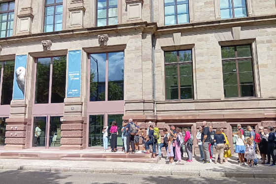 « C’est comme un pèlerinage » : un avant-goût du Musée zoologique avant sa réouverture