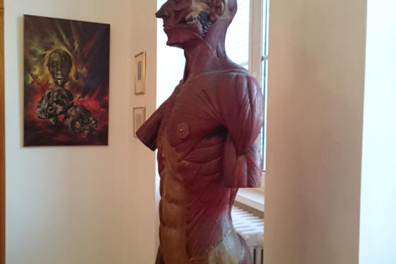 Centre de don du corps, le point à mi-parcours