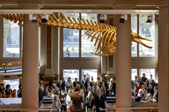 Le Musée zoologique ouvre ses portes