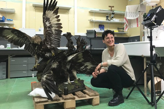 Manon Legris, MacGyver de la restauration au Musée zoologique