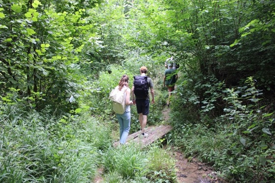 Une collaboration art et science pour interroger la mémoire du Rhin