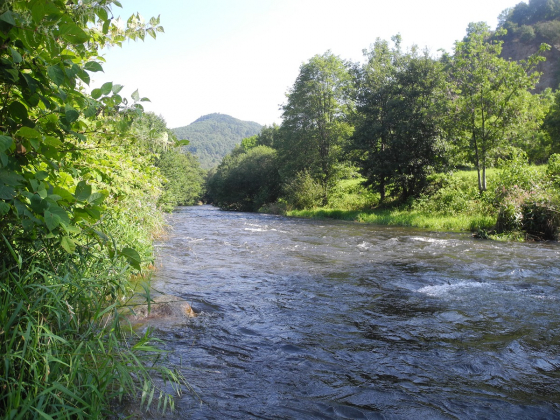 Le devenir des micro-plastiques en eaux de rivière