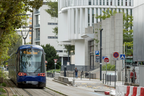 Comportements verts et bonheur : un possible double bénéfice