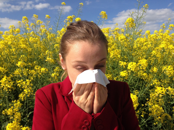 La maladie allergie à la loupe