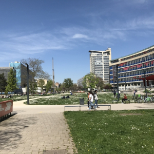 L’Université de Strasbourg, lauréate du label « Science avec et pour la société » avec l’Université de Haute-Alsace