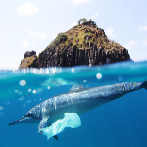 Comment nettoyer l’océan de tout le plastique qui le pollue ?