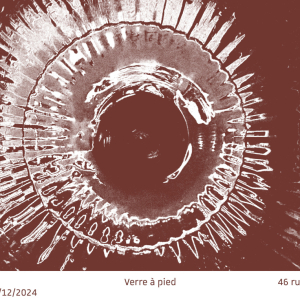 Les écologies visuelles, un domaine de recherche en pleine éclosion