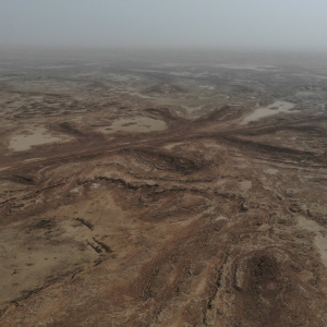 Retour sur le passé verdoyant d’un des plus vastes déserts du monde