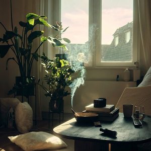 Podcast | Quelle est la qualité de l'air intérieur que nous respirons ?