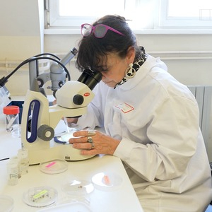 Une vidéo de prévention diffusée en pharmacie pour lutter contre les tiques