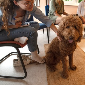 J’ai testé pour vous : la médiation animale contre le stress