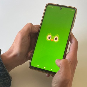 Apprendre une langue étrangère grâce aux environnements numériques : un défi pédagogique