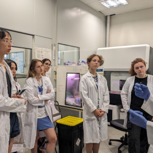 Le Blended Intensive Programme (BIP), porte ouverte sur l’Europe