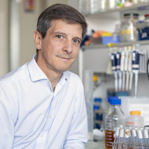 Du génome à la diversité des traits : le premier « atlas » des mutations d’une espèce