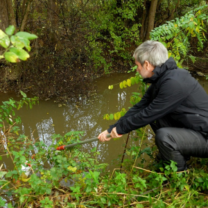 Le projet ReactiveCity, pour une ville proactive sans biocide