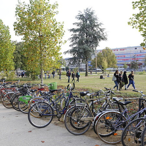 Plan de mobilité durable : du diagnostic à l’action