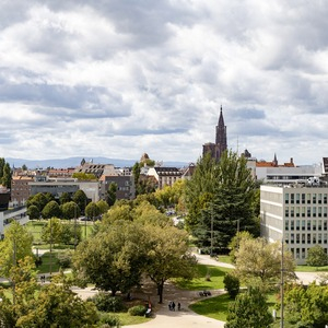 Quelle place de l'université et de la recherche sur le territoire ? 
