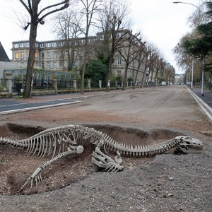 Un squelette de dinosaure découvert sur le campus historique